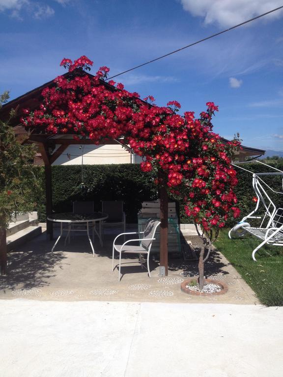 La Quercia Bed and Breakfast Cosenza Exteriör bild